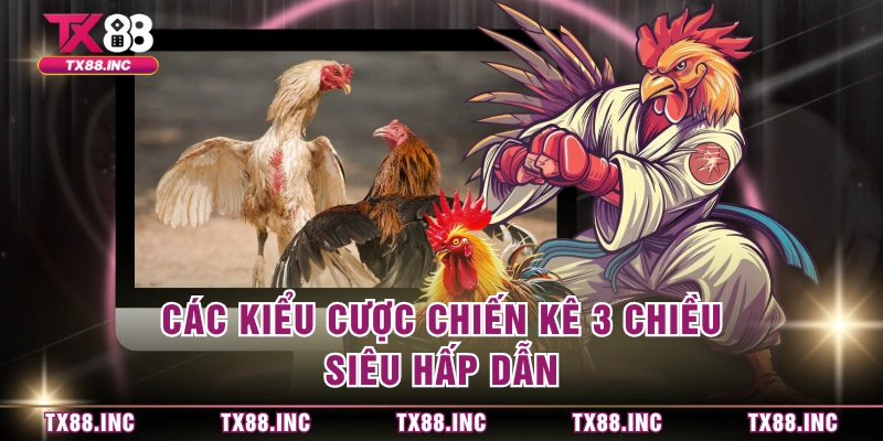 Các kiểu cược chiến kê 3 chiều siêu hấp dẫn 