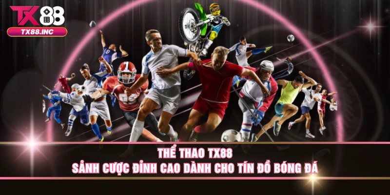 Một số thông tin cơ bản về sảnh sport nhà cái 